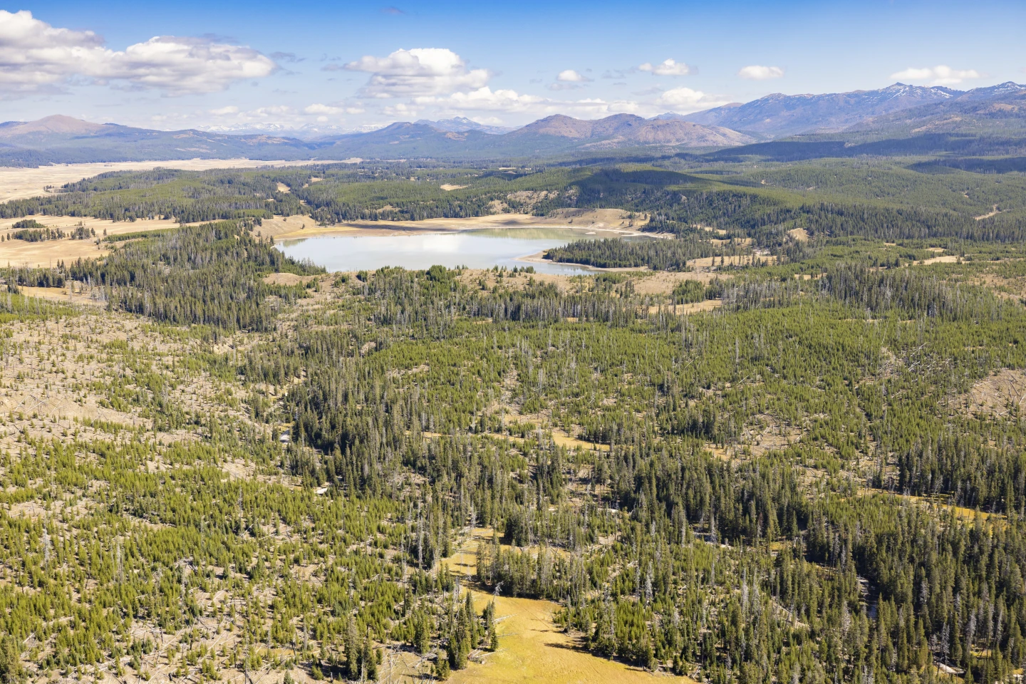 Former Park Officials Urge Shutdown of National Parks During Government Closure