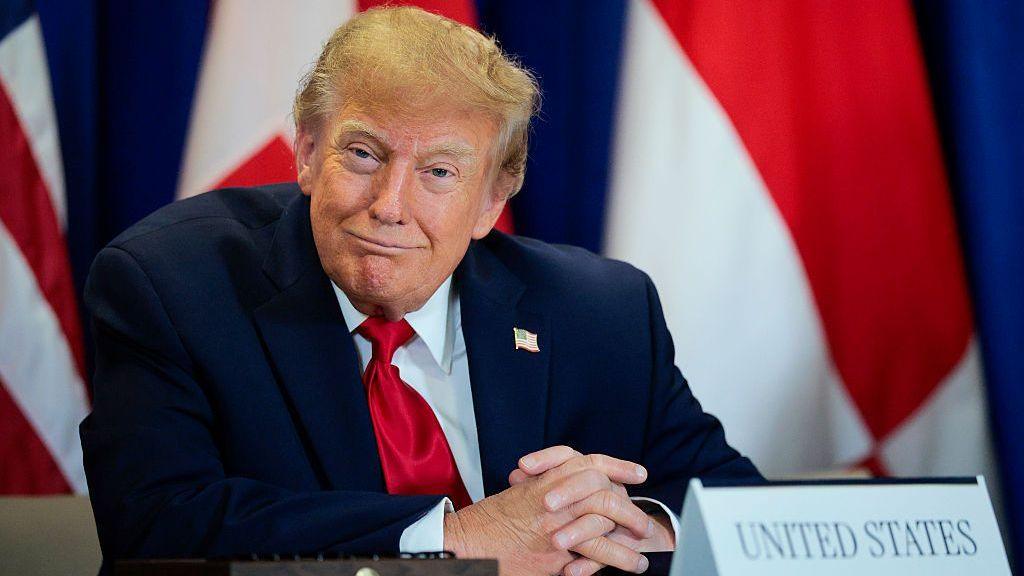 Trump’s ‘Super Intelligence’ Renaming Sparks Record Domain Sales in Slovenia