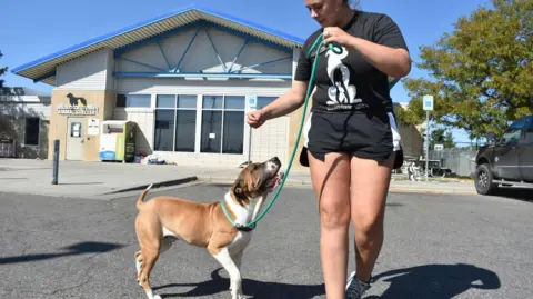 FBI Incident at Montana Animal Shelter Causes Mass Hospitalization of Staff