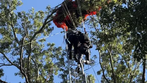 Tragic Skydiving Incident Claims Life of Experienced Instructor in Nashville