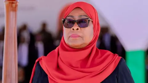 Tanzania's Stability Eroded: Blame Falls on President Samia Suluhu Hassan