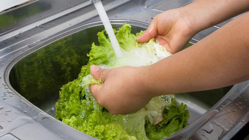 Michigan Confirms First Two Deaths as Cyclospora Outbreak Ramps Up