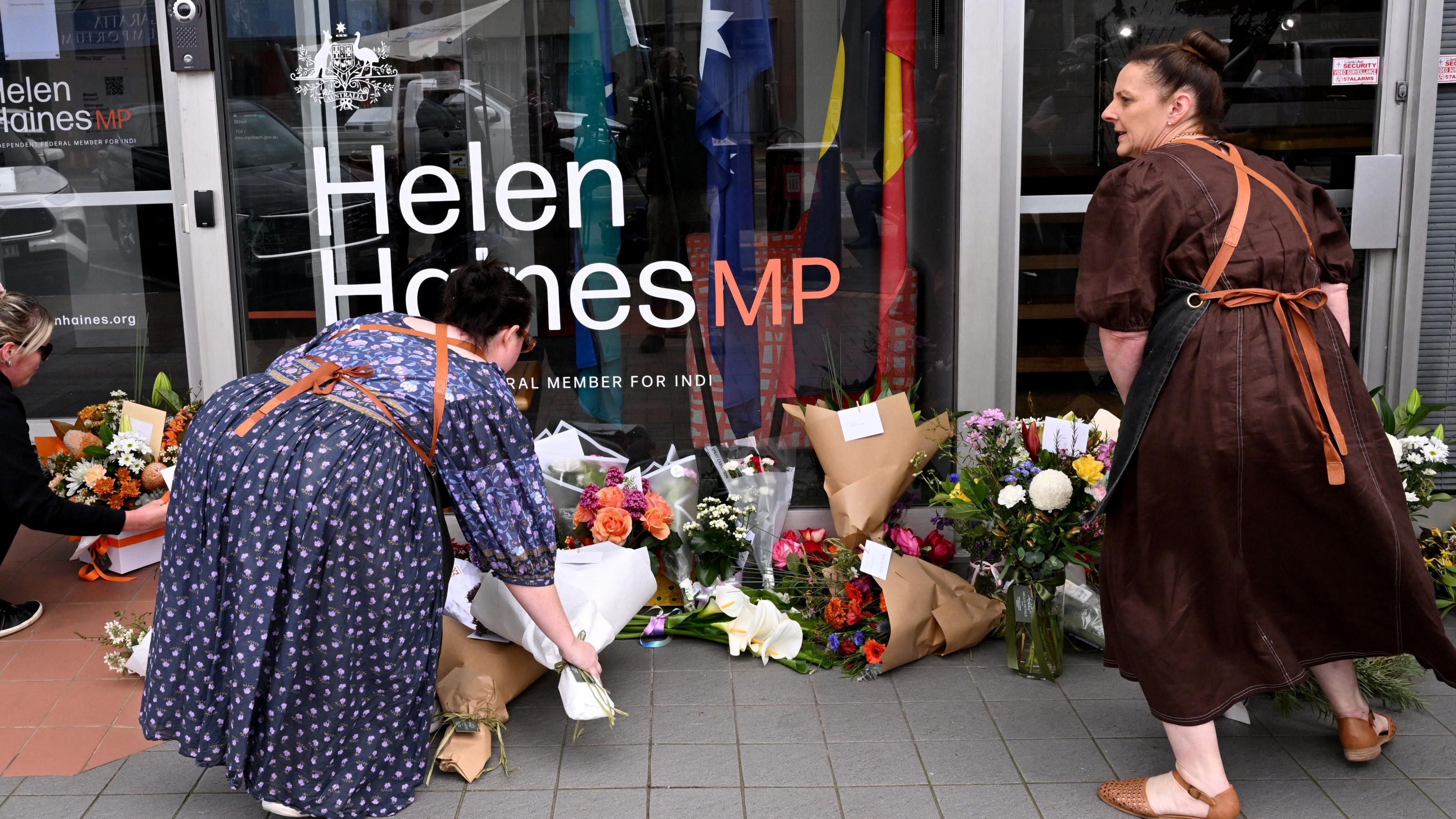 Australian MP Helen Haines attacked by car, suspect charged