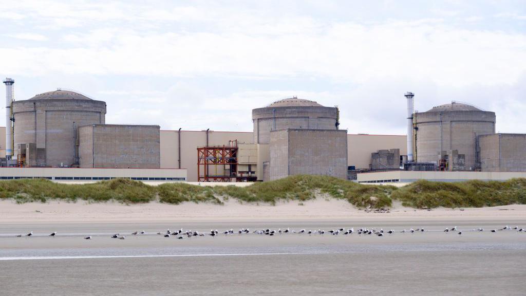 Jellyfish Overload Forces Partial Shutdown of France's Gravelines Nuclear Plant