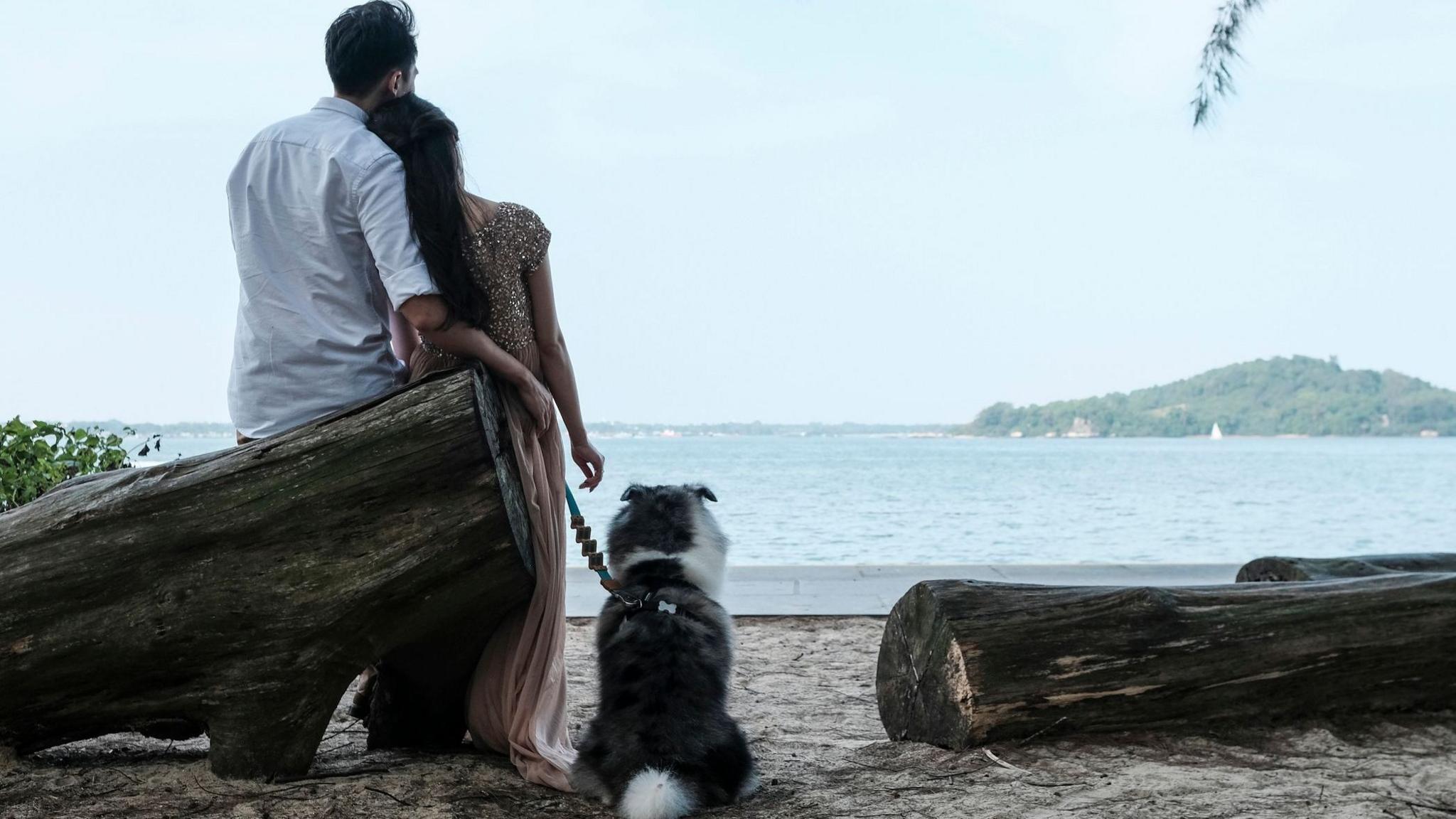 Singapore Launches FirstDate: Government-Backed Matchmaking to Boost Birthrate