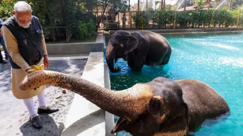 Investigation Clears Ambani Family’s Private Zoo of Wrongdoing