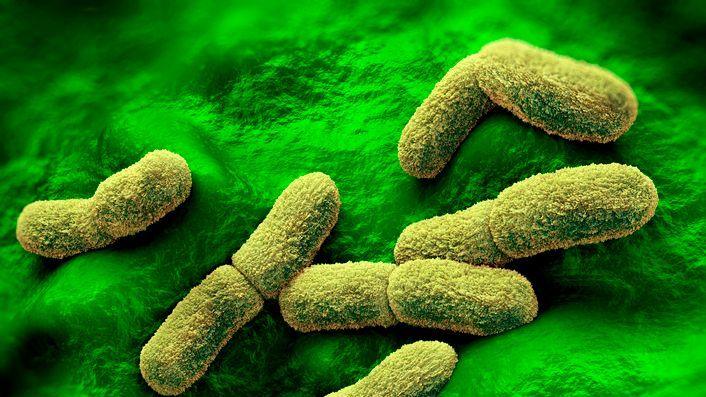 US Closely Monitoring After Plague Lab Technician Dies in Siberia