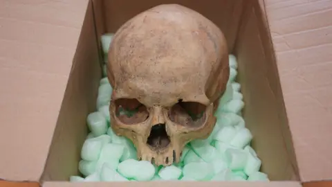 A Tourist's Redemption: Skull Returned to St. Stephen's Cathedral After Six Decades