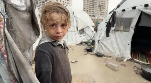 Desperate Pleas for Shelter as Winter Rains Pummel Gaza