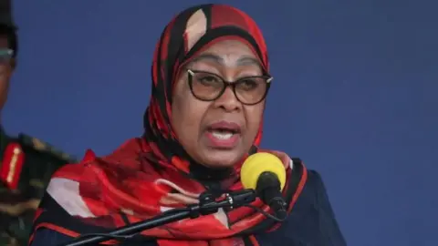 Tanzania's President Acknowledges Election Unrest Damage to National Reputation