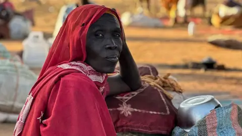 Disturbing Echoes of Genocide Resurface in Sudan's El-Fasher Amid New Atrocities