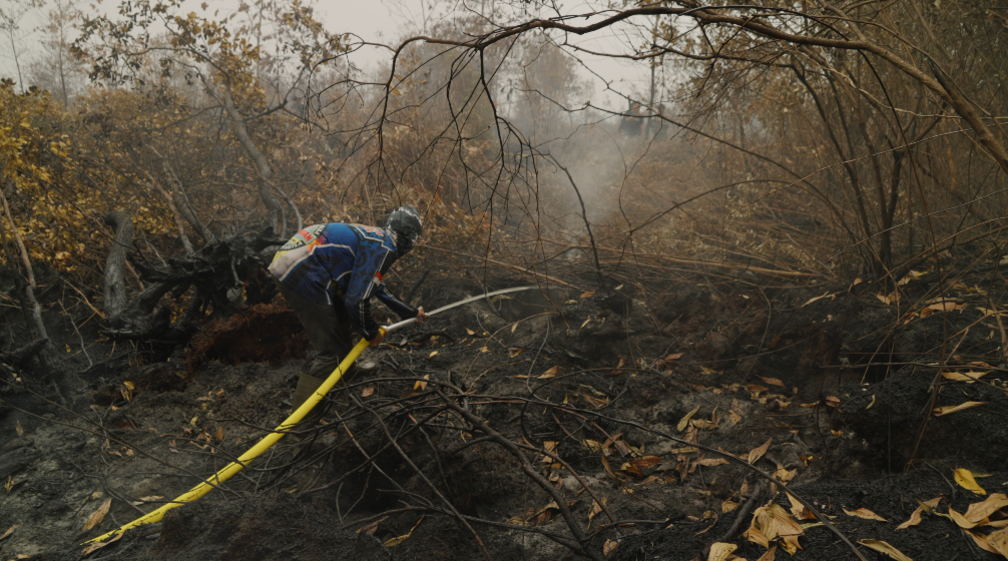 Borneo’s Hellfire: Families Battle the Toxic Haze