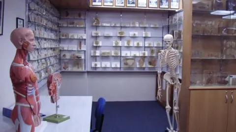 Tasmania's Dark Legacy: Government Apologizes for Body Parts Scandal