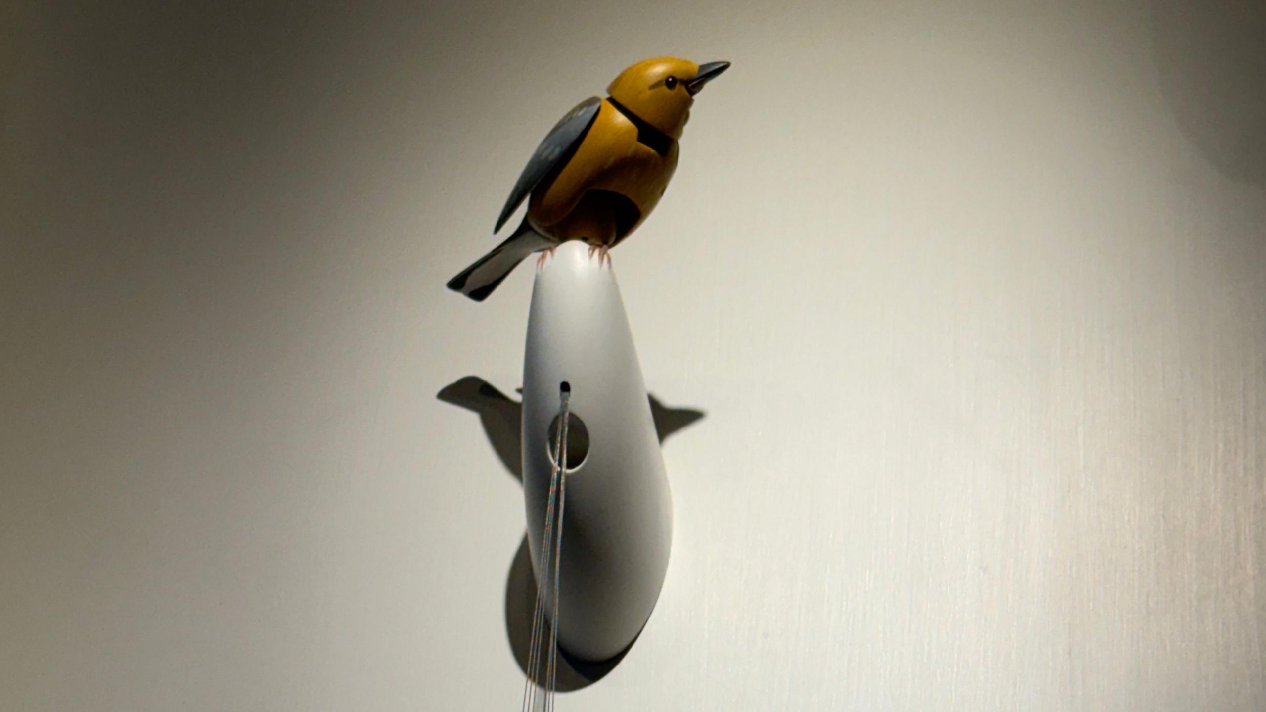Wooden mechanical bird named Molly on wall