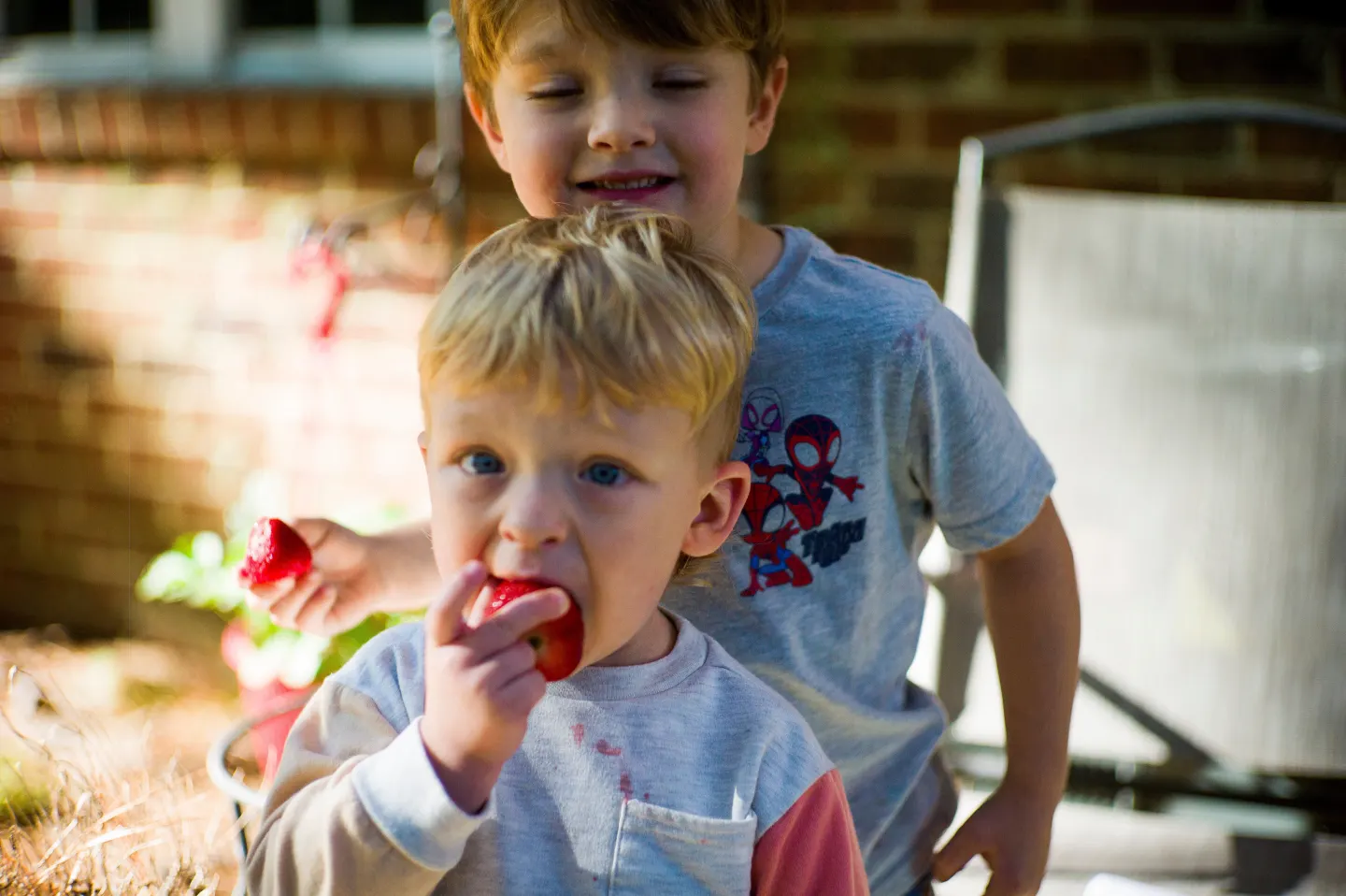 Government Shutdown Resolved for Vital WIC Program with $300 Million Funding