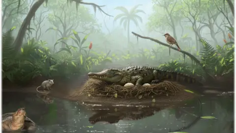 Ancient 'Drop Crocs' Evidence Discovered in Australia