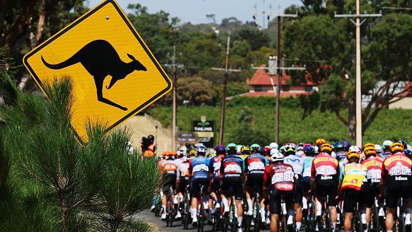 Jay Vine Triumphs at Tour Down Under Amidst Kangaroo Incident