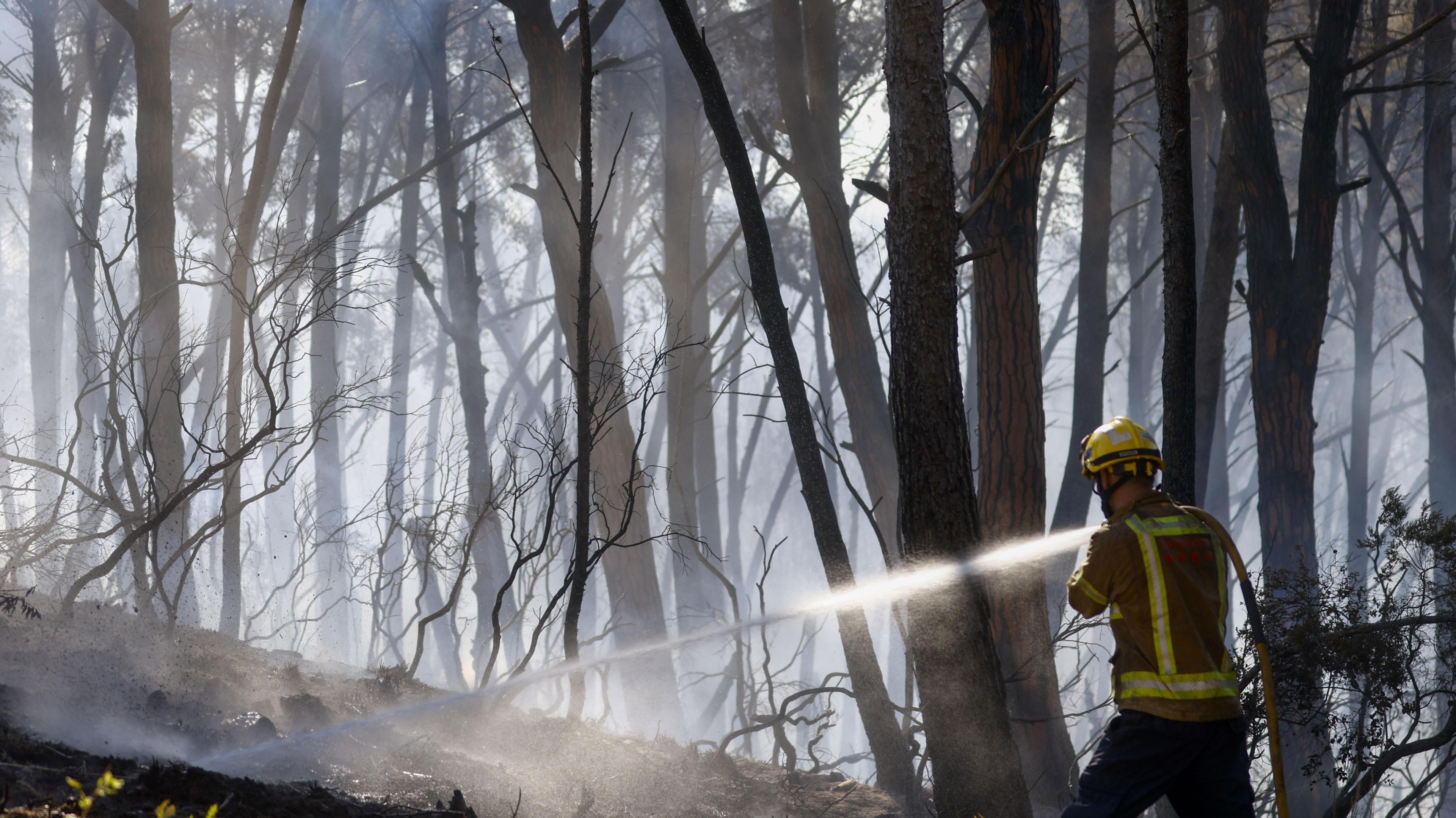 A firefighter sprays water on a forest blaze in Spain