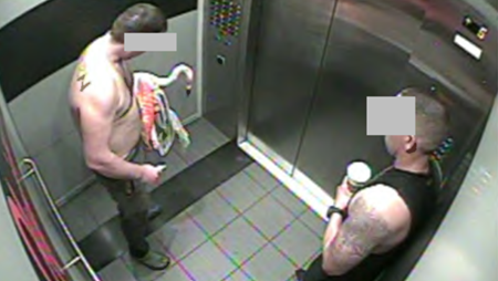 Canadian tourist convicted after taking Las Vegas flamingo into hotel room
