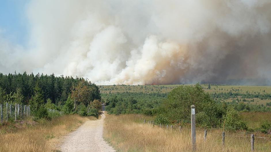 Belgian Wildfire: 75% of High Fens Nature Reserve Devoured, Firefighters Call it 'Largest in Recent History'