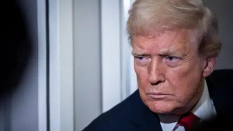 Trump Commutes Sentence of Fraud Convict Days into Imprisonment