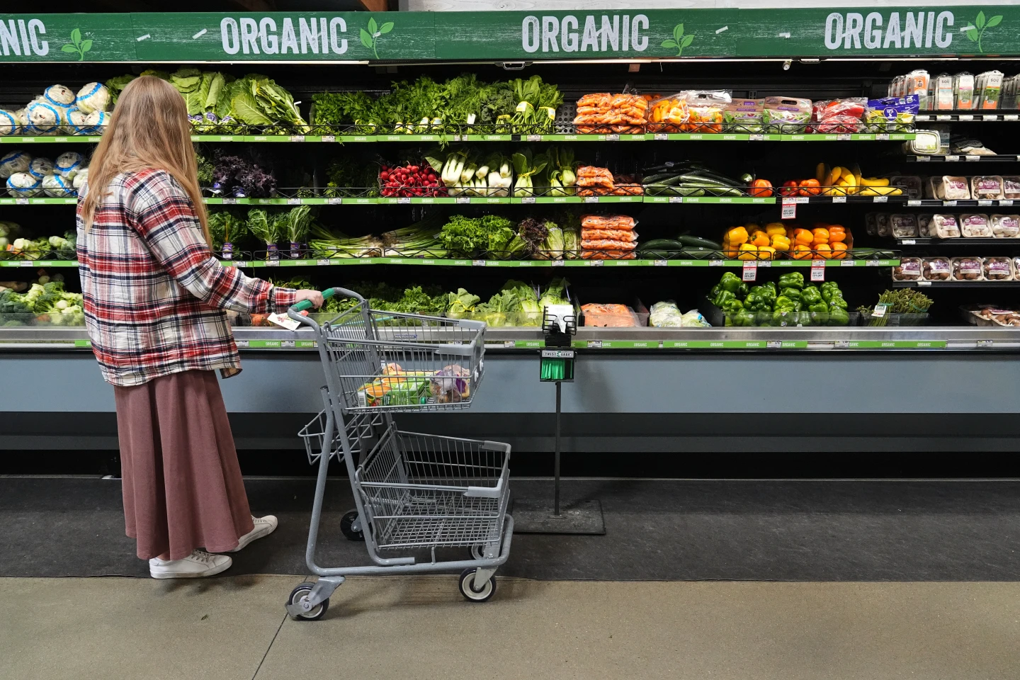 SNAP Benefits Disrupted Amidst Government Shutdown: Millions Left in Limbo