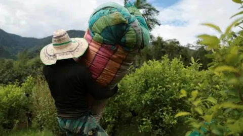 US Labels Colombia as Failing Partner in Drug War Amid Cocaine Production Surge